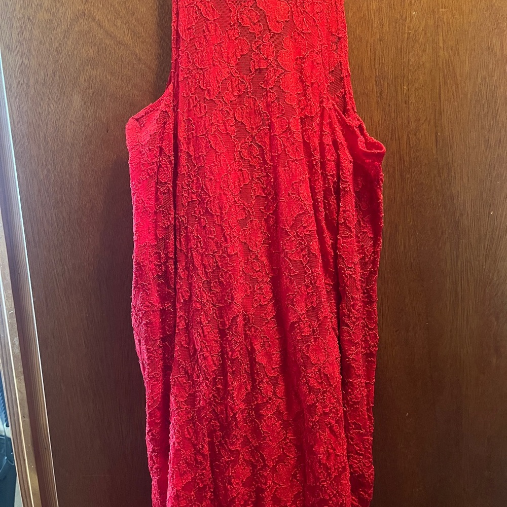 Elegant Red Lace Dress - Picture 3 of 3
